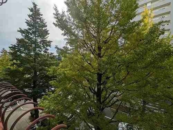 錦町チサンマンションの物件内観写真